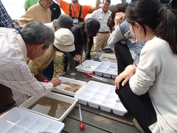 生物観察