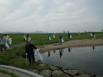 湖岸線のゴミ拾い（斐川）