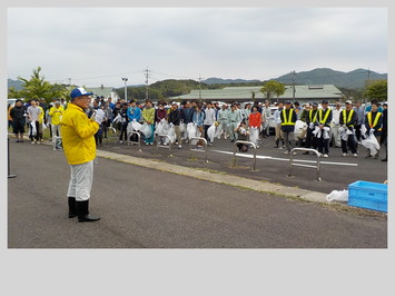 長岡市長のあいさつです